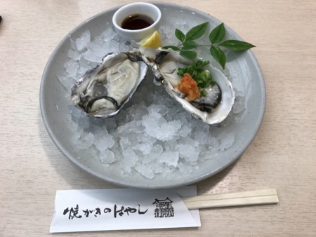 f:id:moorie:20170122160127j:image f:id:moorie:20170122160127j:image