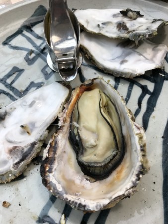 f:id:moorie:20170122161549j:image f:id:moorie:20170122161549j:image