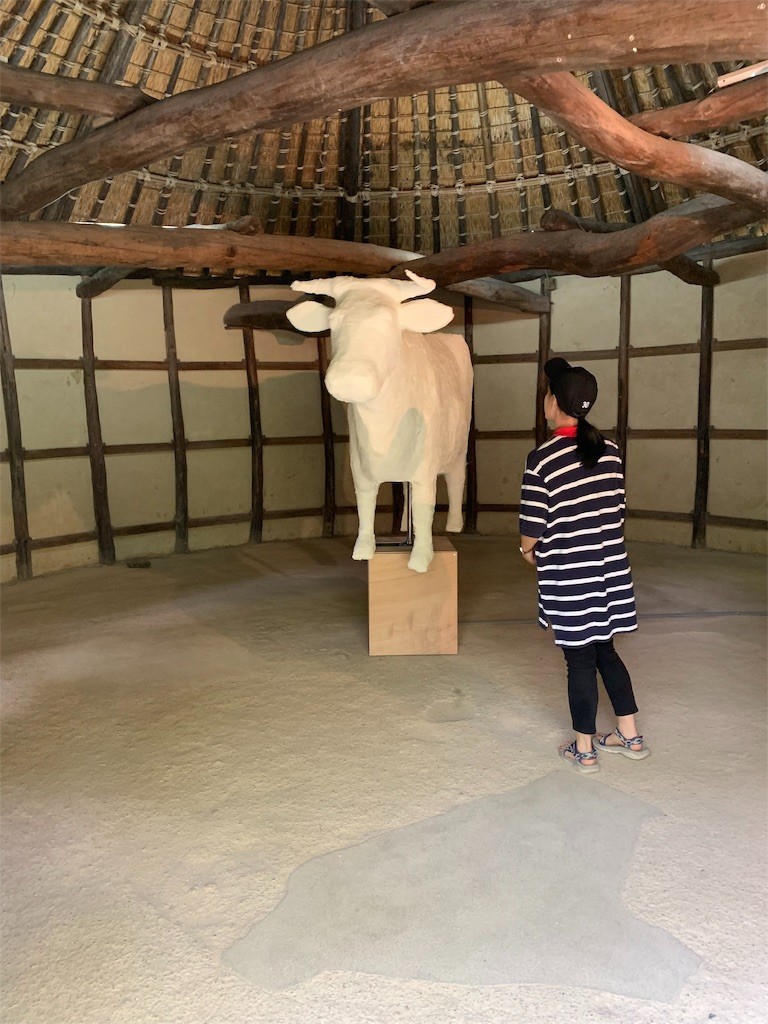 f:id:moorie:20190827135123j:image f:id:moorie:20190827135123j:image