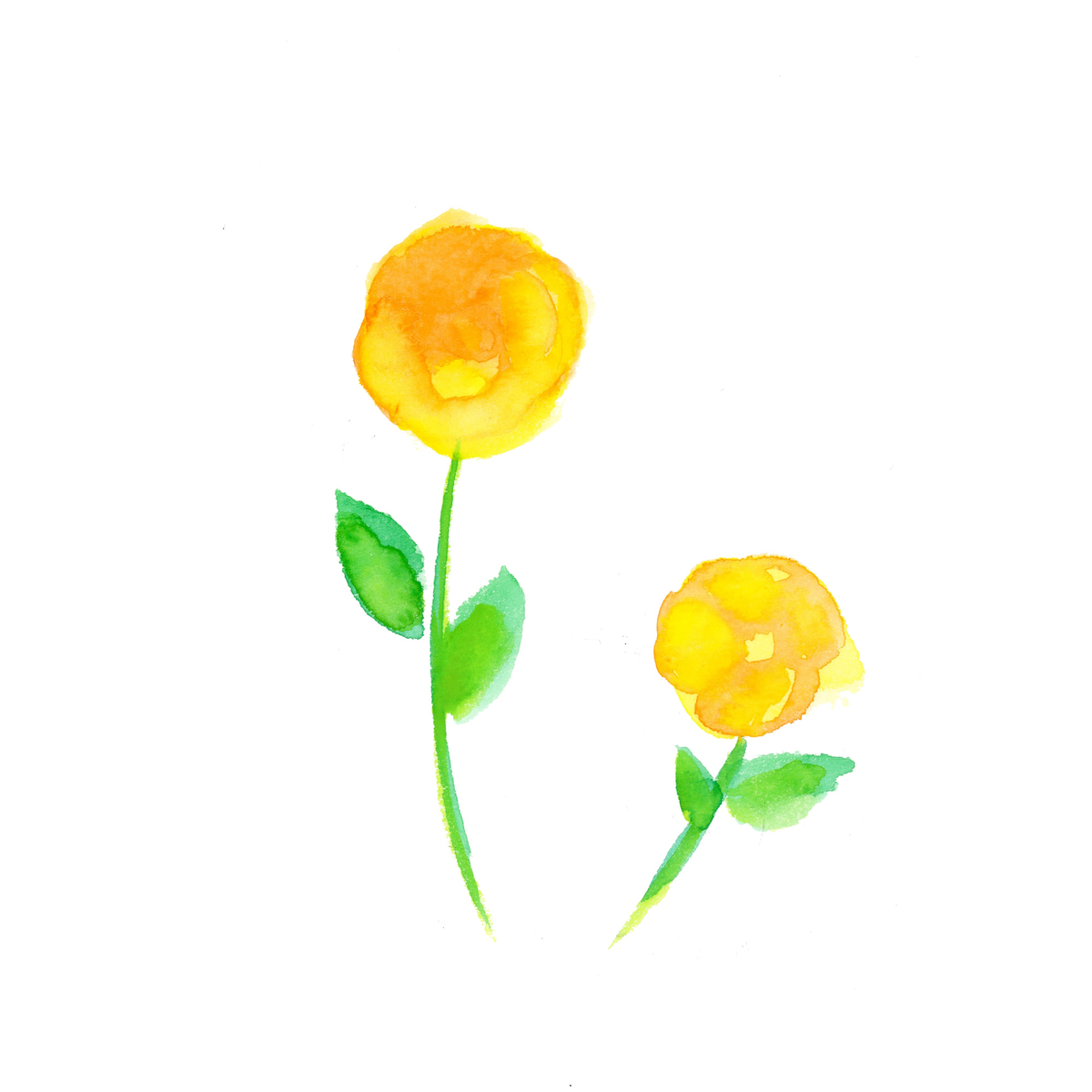 f:id:moormizukusa:20210313224255j:plain