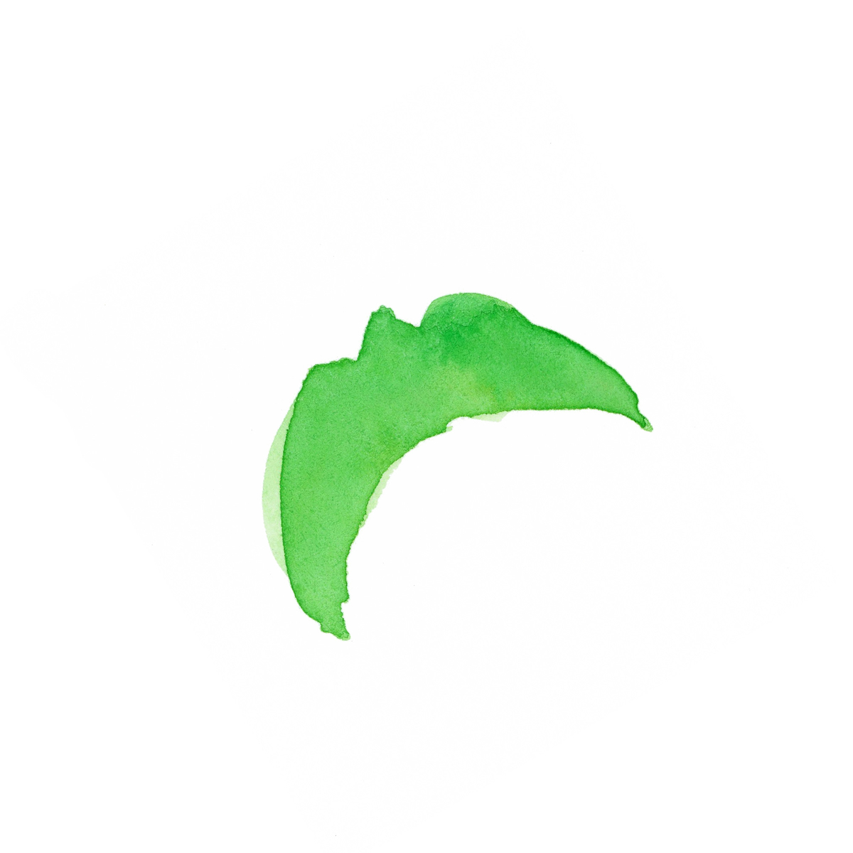 f:id:moormizukusa:20210313225829j:plain