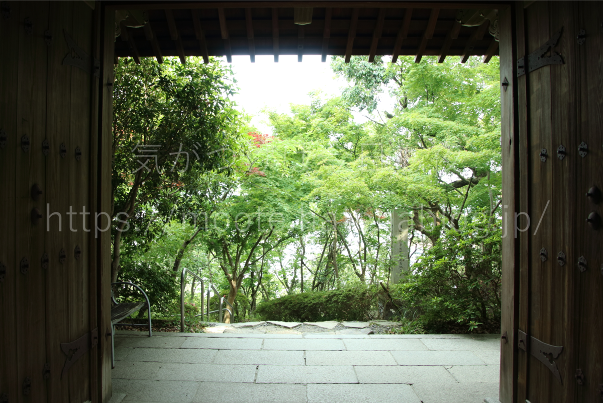 f:id:moote:20190602002415p:plain