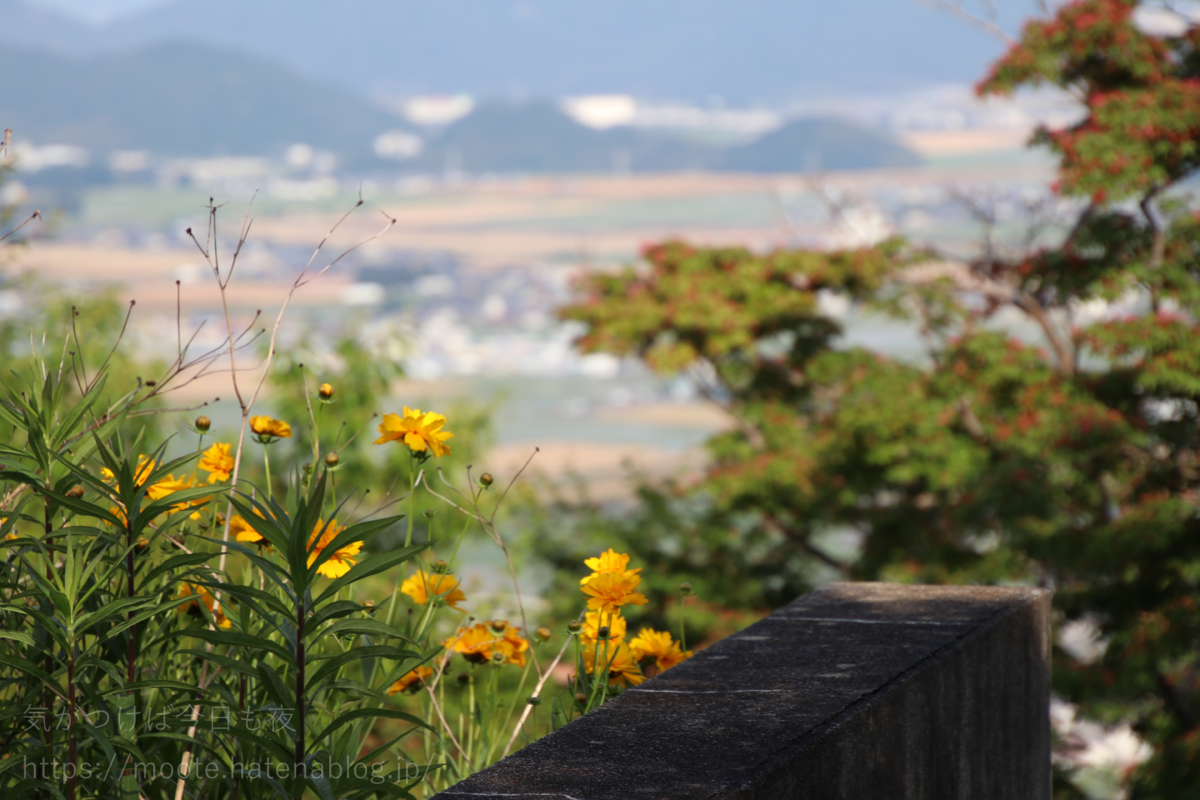 f:id:moote:20190602002505p:plain