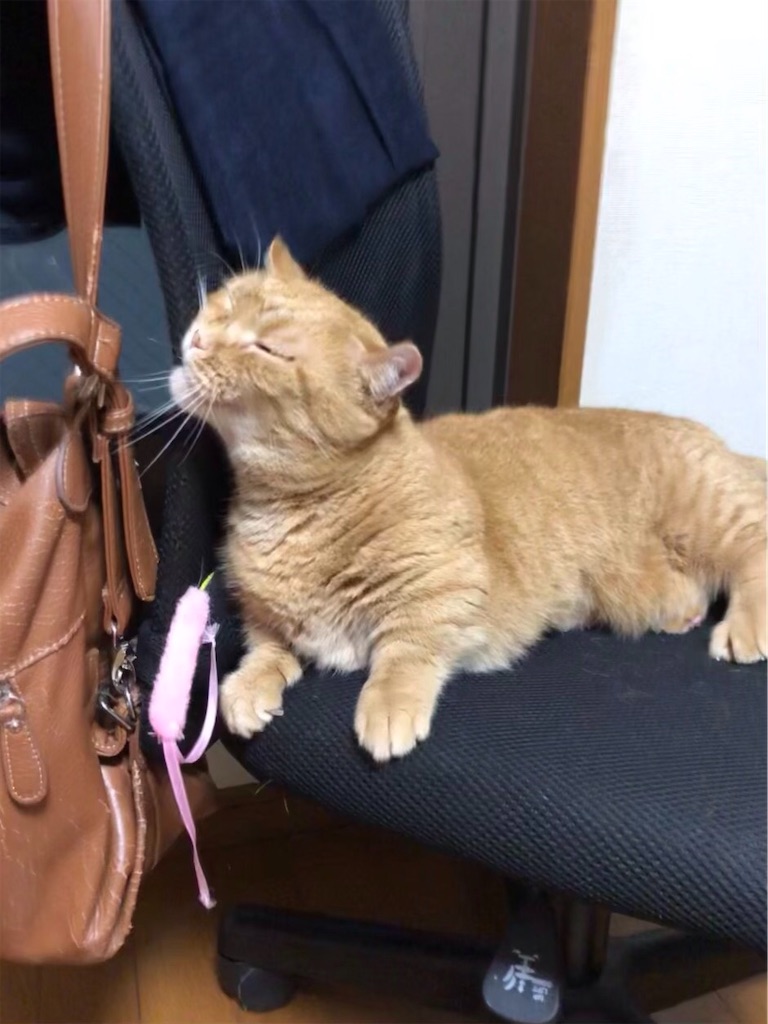 f:id:mootymama:20220914004446j:image f:id:mootymama:20220914004446j:image