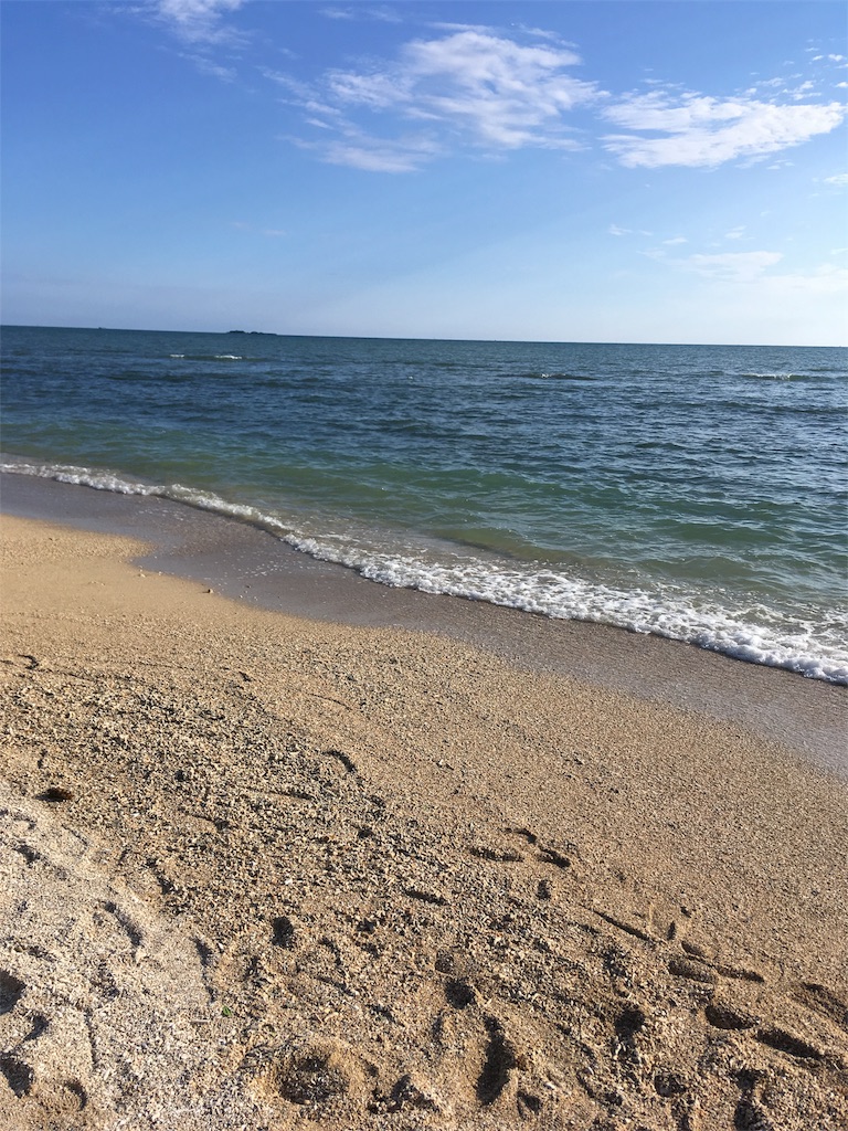 f:id:moranmoran:20180909232306j:image f:id:moranmoran:20180909232306j:image