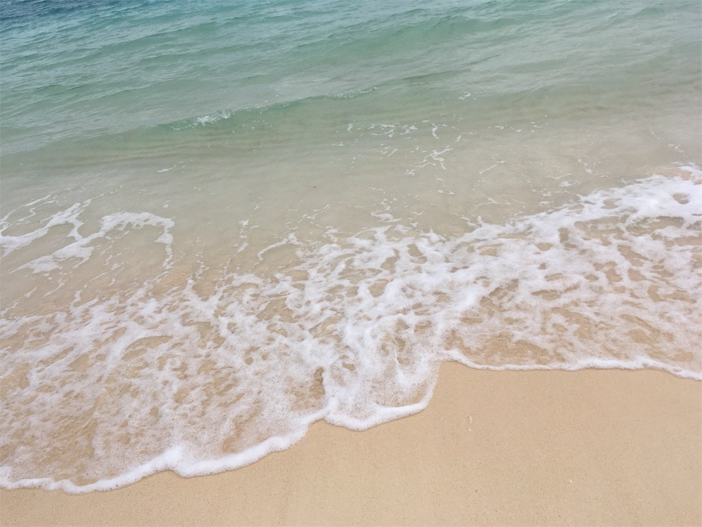 f:id:moranmoran:20180915210408j:image