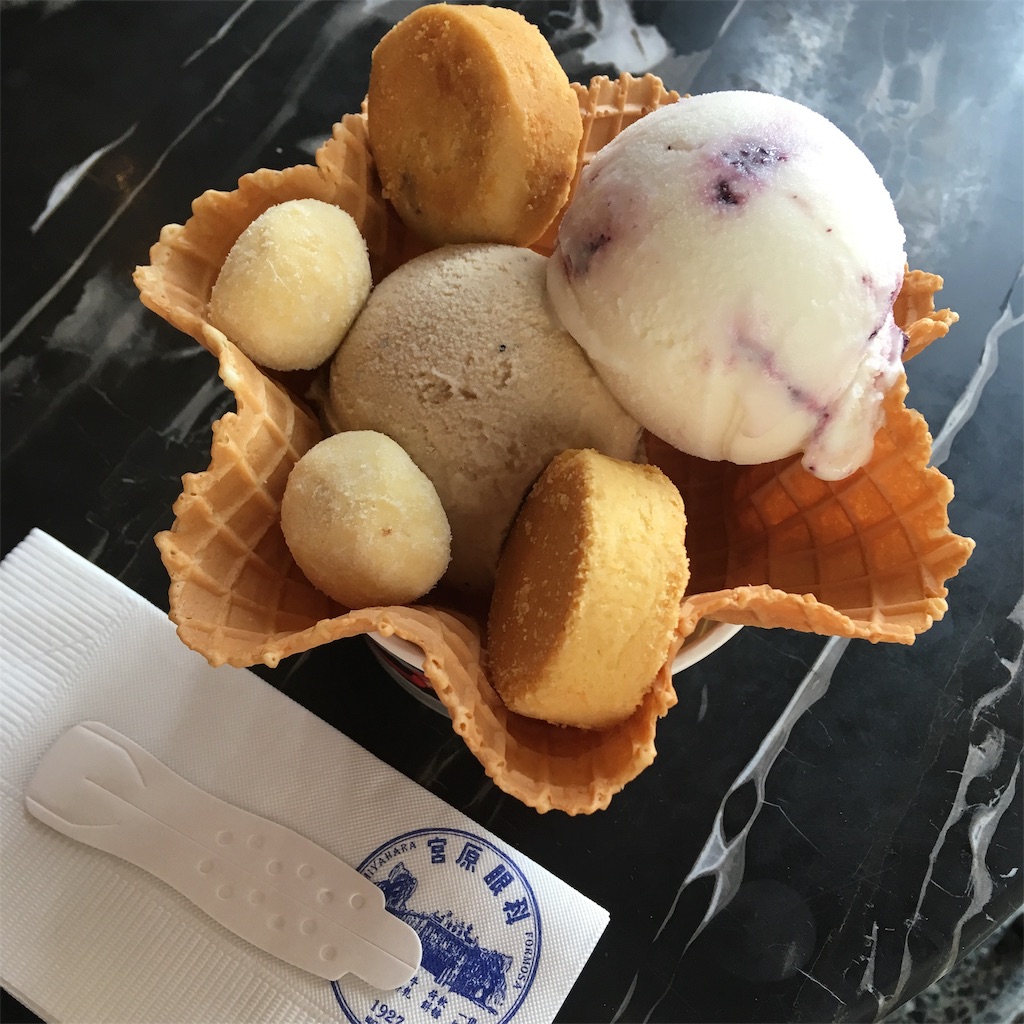 f:id:moranmoran:20190224231726j:image f:id:moranmoran:20190224231726j:image