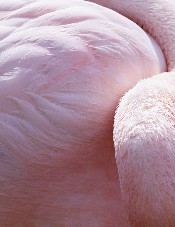 f:id:more_beautiful:20190217191421j:plain f:id:more_beautiful:20190217191421j:plain