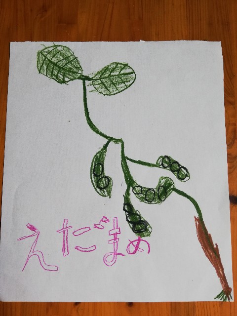 f:id:morefun_morehappy:20210617135913j:image
