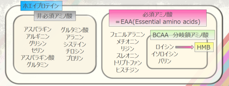 f:id:morekirekan:20190607123918p:plain