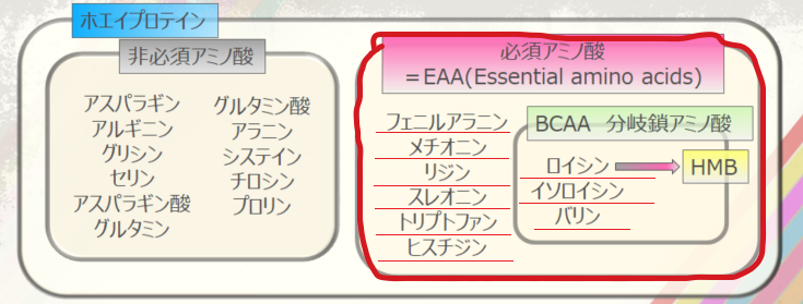 f:id:morekirekan:20190616171149p:plain