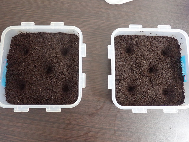 きのこ栽培の培地