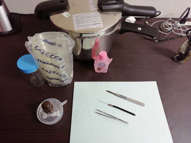 きのこ菌株の取得に必要な道具
