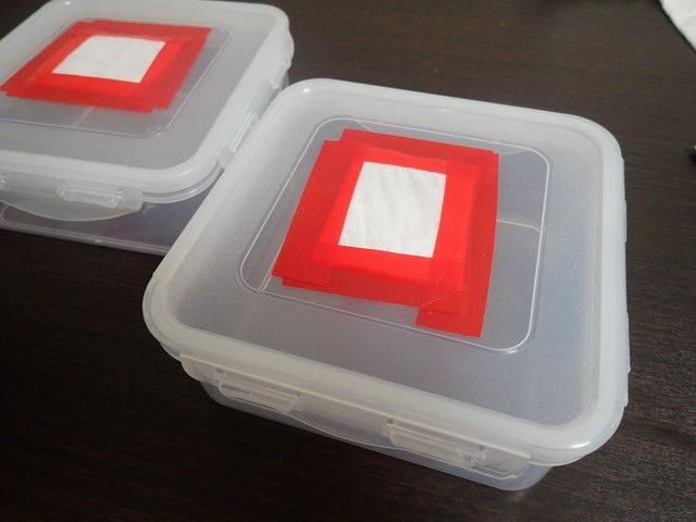 タッパーでつくったきのこ栽培容器