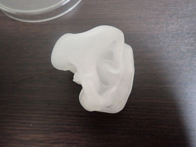 溶けたプラスチックシャーレ