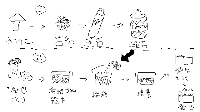 きのこ栽培工程