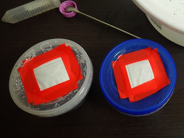 タッパーのフタの上に開けた孔の部分にマスクを張り付けている