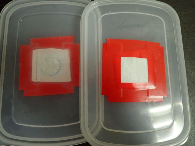 穴を開けたタッパーのフタにフィルターを貼った