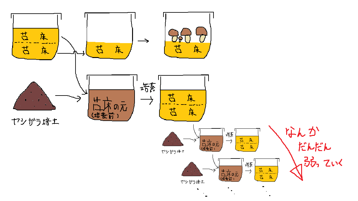 無殺菌栽培, 無限に拡大培養できない