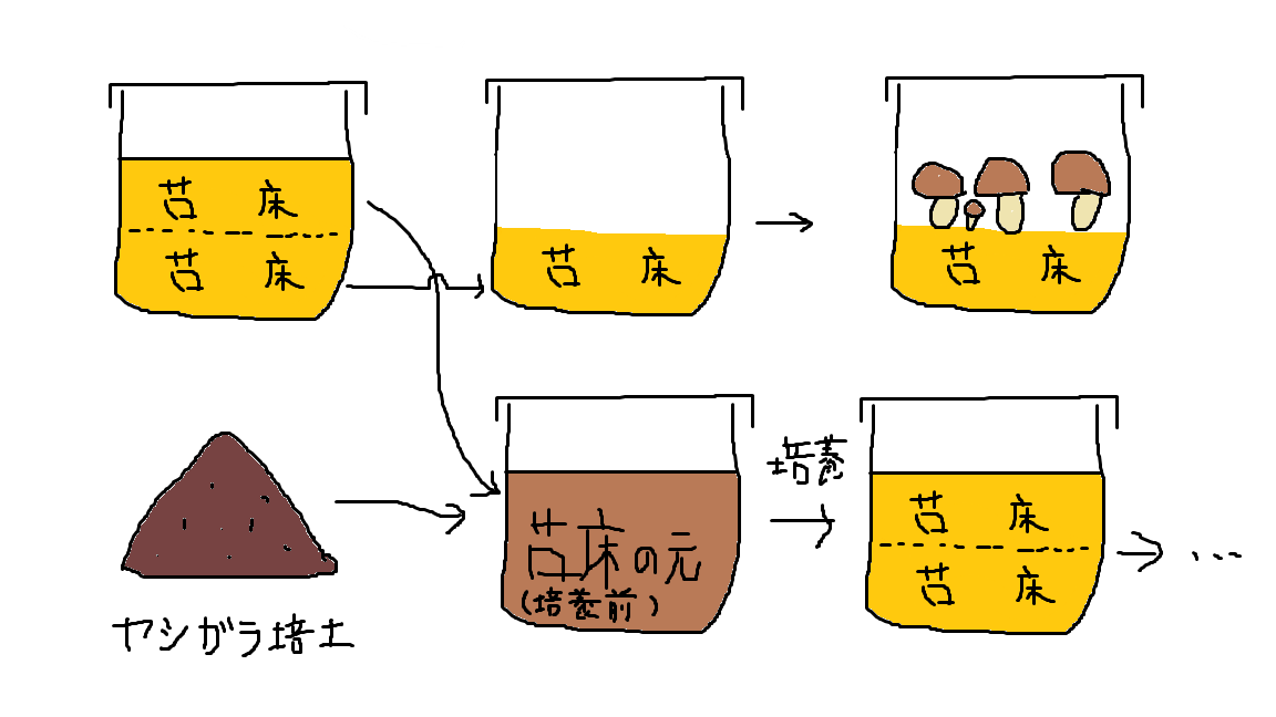 無殺菌栽培, 繰り返し, 拡大培養