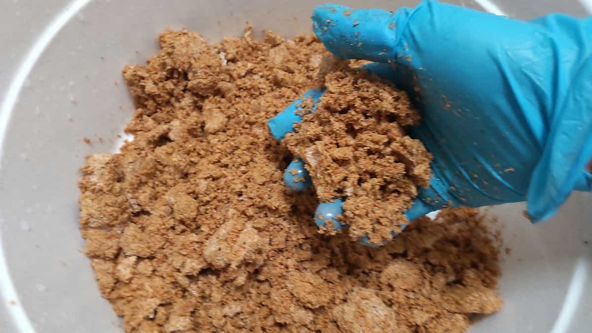 きのこの種菌をほぐす