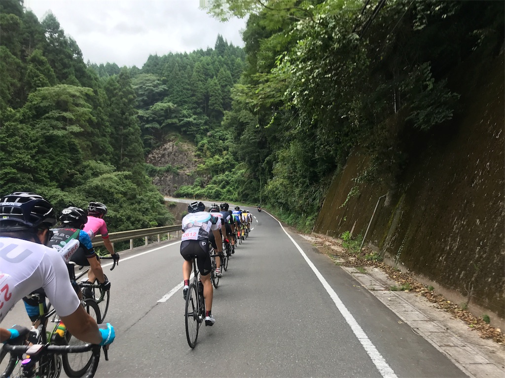 f:id:morelia-sterbai-heterodn54:20180801003425j:image f:id:morelia-sterbai-heterodn54:20180801003425j:image