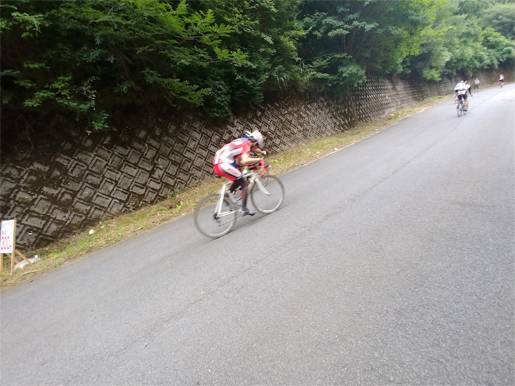 f:id:morelia-sterbai-heterodn54:20180801230011j:image f:id:morelia-sterbai-heterodn54:20180801230011j:image