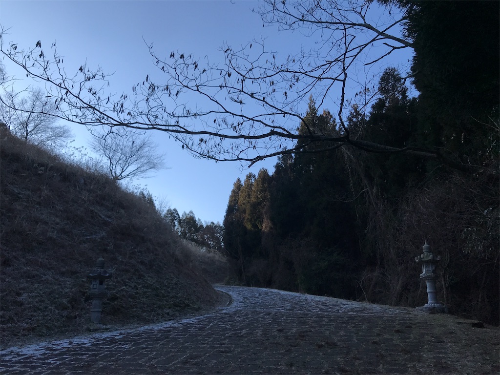 f:id:morelia-sterbai-heterodn54:20190128023734j:image f:id:morelia-sterbai-heterodn54:20190128023734j:image