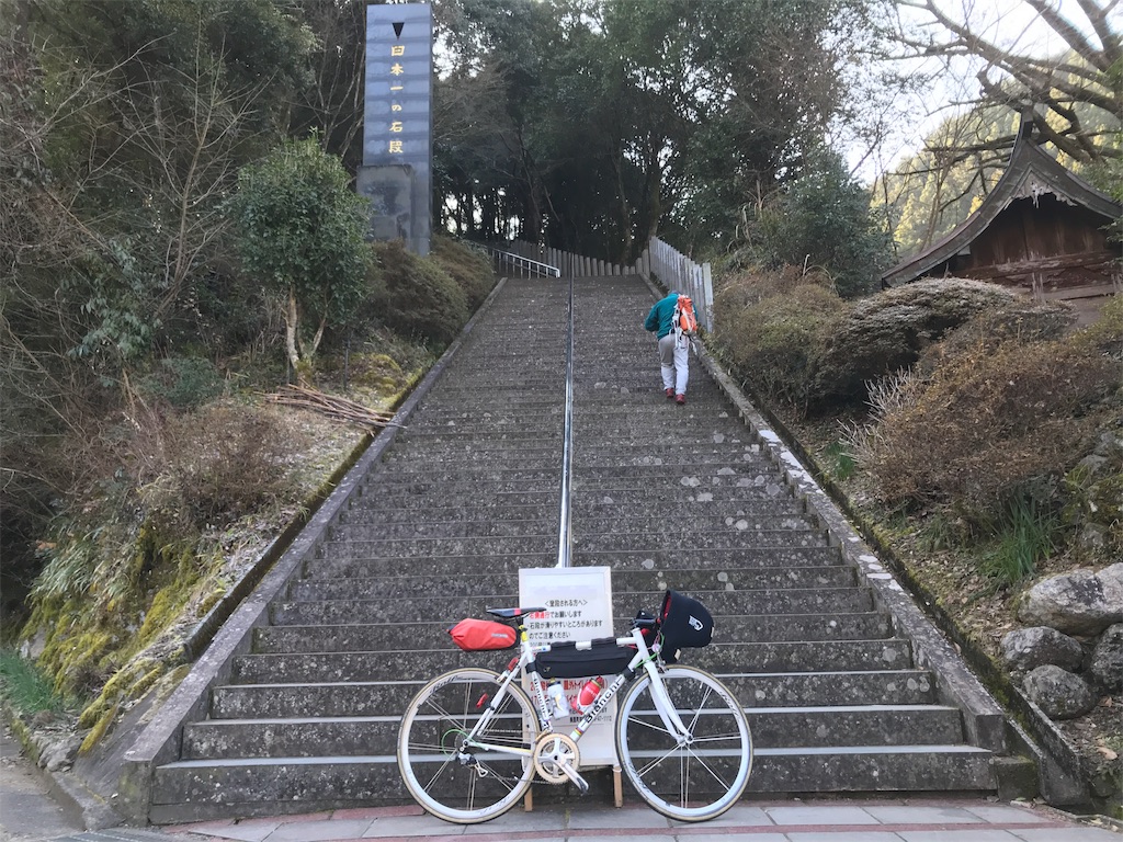 f:id:morelia-sterbai-heterodn54:20190128023804j:image f:id:morelia-sterbai-heterodn54:20190128023804j:image