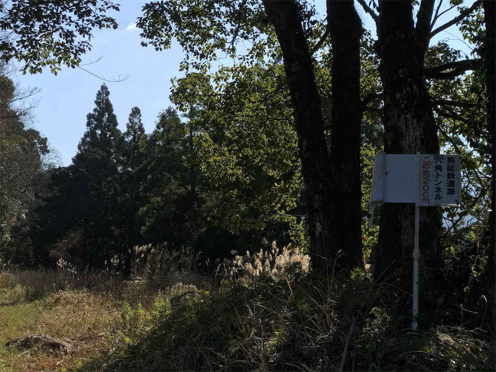 f:id:morelia-sterbai-heterodn54:20190128034632j:image f:id:morelia-sterbai-heterodn54:20190128034632j:image