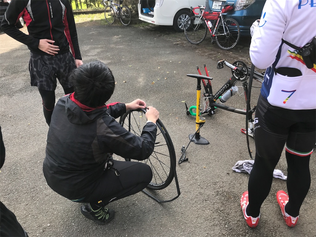 f:id:morelia-sterbai-heterodn54:20190320224835j:image f:id:morelia-sterbai-heterodn54:20190320224835j:image