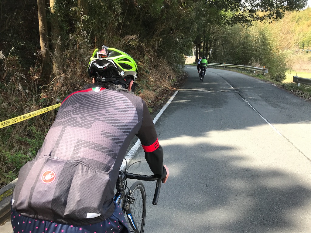 f:id:morelia-sterbai-heterodn54:20190320230707j:image f:id:morelia-sterbai-heterodn54:20190320230707j:image