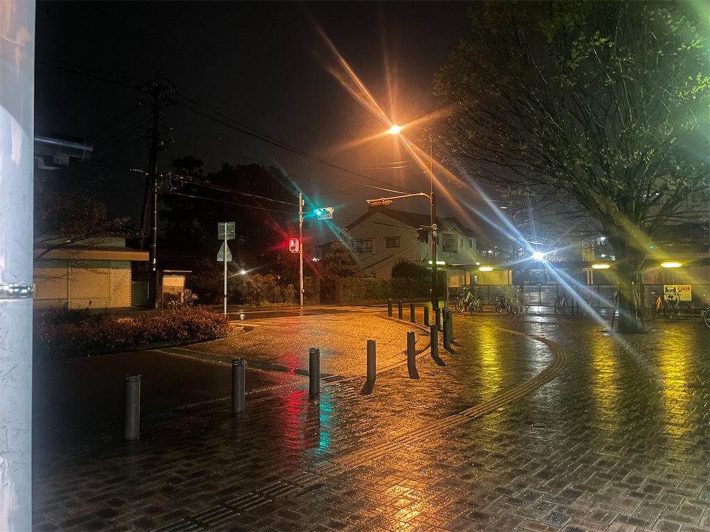 f:id:morelia-sterbai-heterodn54:20220331074219j:image f:id:morelia-sterbai-heterodn54:20220331074219j:image