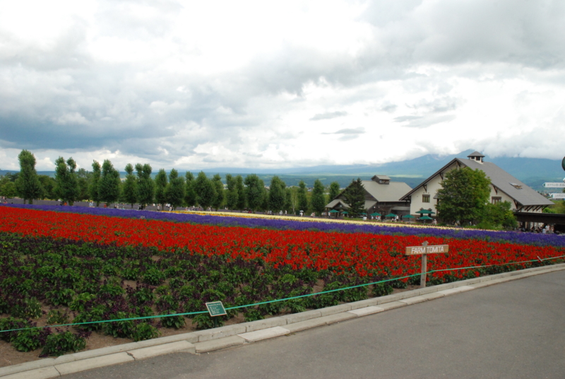 f:id:moremagic:20120725133708j:image f:id:moremagic:20120725133708j:image