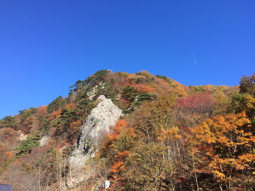 ライター業 白河市周辺の紅葉デートスポット 空き地を探す ライター業 白河市周辺の紅葉デートスポット 空き地を探す