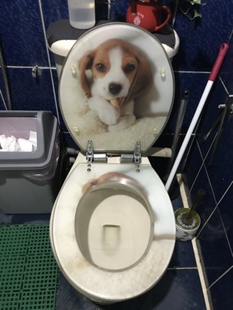 f:id:morgmolmalmo:20180205120623j:image