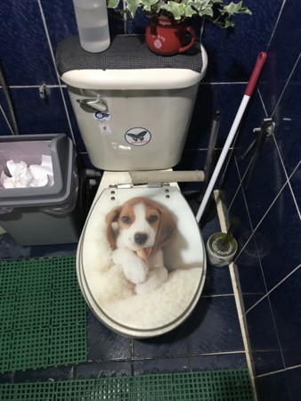 f:id:morgmolmalmo:20180205120633j:image