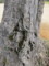 20110328072402