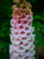 20110613074051