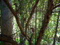 20110620072513