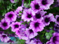 20110829061043