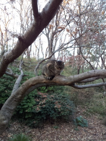 20120113161018