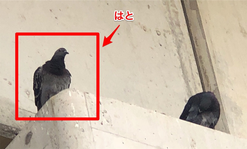 f:id:mori-sub-02:20190622182302j:image:w400