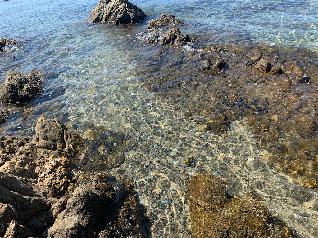 f:id:mori1005:20220805233710j:image