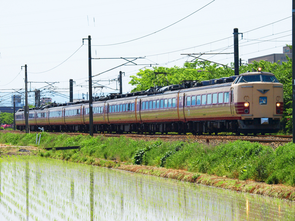懐かしの車両編 ⑧ 2008年~2010年頃に撮影 【国鉄特急色の485系
