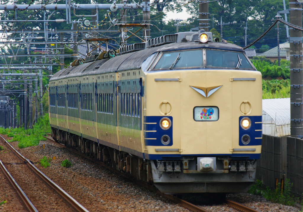 583系 わくわくドリーム号 団体臨時列車 東京ディズニーリゾート臨時列車 京葉線 武蔵野線 葛西臨海公園駅 新浦安駅 船橋法典駅 東松戸駅 究極の583系&E653系 583系秋田車