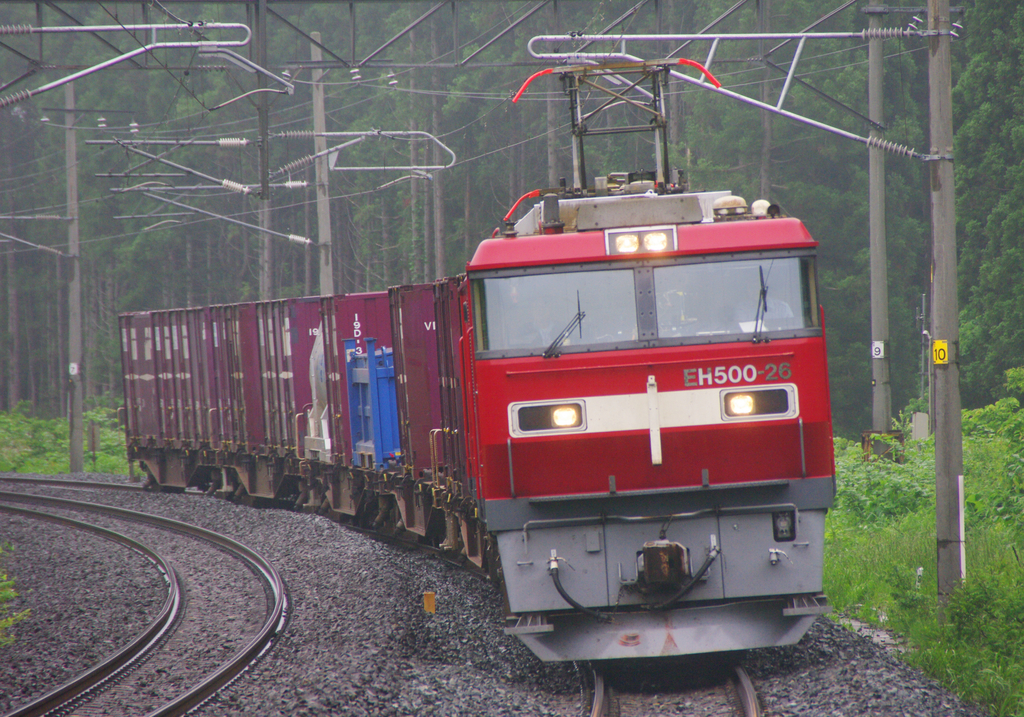 懐かしの車両編㉖ 2009年6月14日 東北本線（現青い森鉄道線