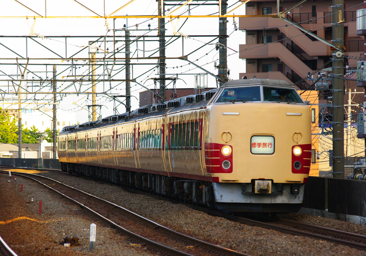 183系　183系大宮車　183系田町車　集約臨　ホリデー快速鎌倉号　武蔵野電　新座駅　撮影地　国鉄型特急車両　国鉄型特急色　