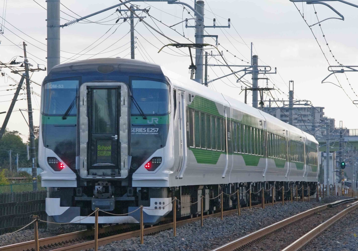 185系　B6編成　E257系5500番台　集約臨　久喜　新白岡　宇都宮線　撮影地　あしかがフラワーパーク団臨