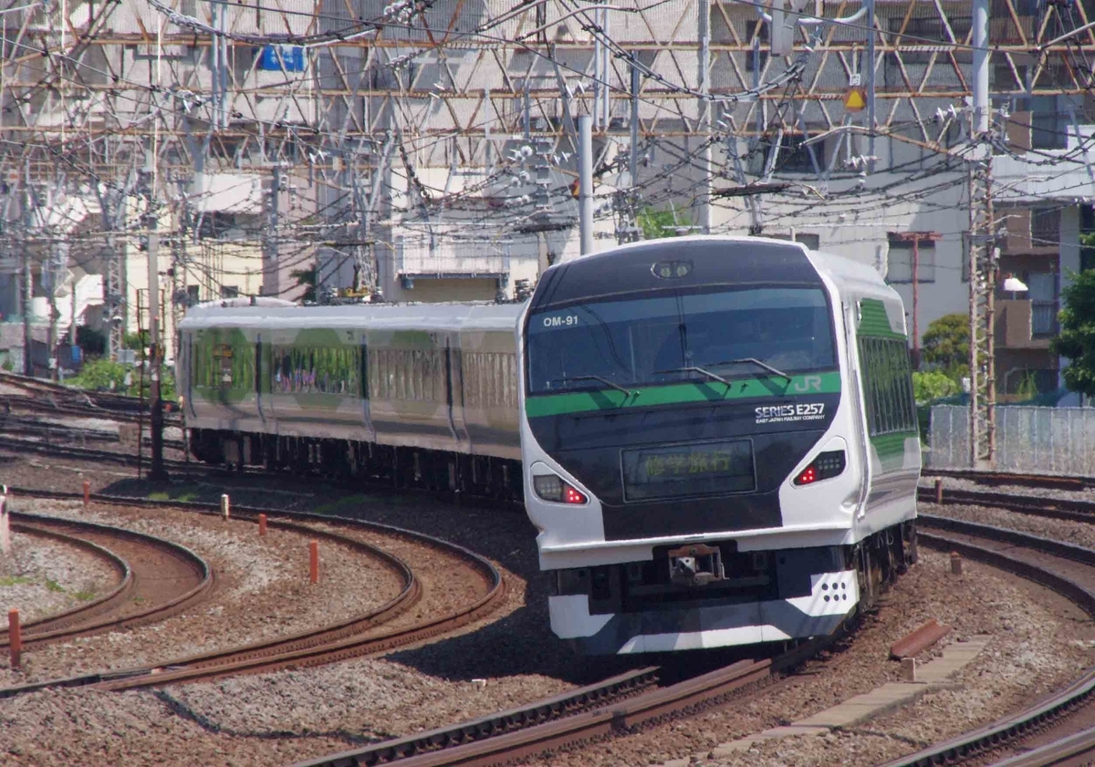 E257系5000番台　E257系2000番台　集約臨　特急湘南号　集約臨　E259系　成田エクスプレス　戸塚　大船　撮影地　戸塚大カーブ　東海道線横須賀線　E217系　E235系1000番台　E231系　E233系